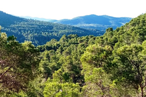 Gårdshus i Biar, Alicante, Biar - € 299 000 | Ref: FCA.02BIAR - foto 18